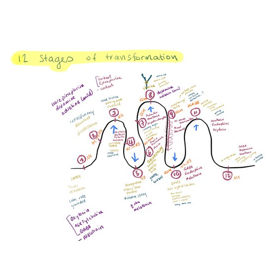 Hand-drawn wave of the 12 stages of transformation